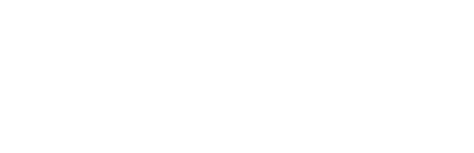 T4 People Analytics Logo Light